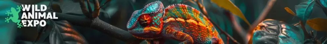 Wild Animal Expo - Festiwal Zwierząt Egzotycznych w Słupsku!