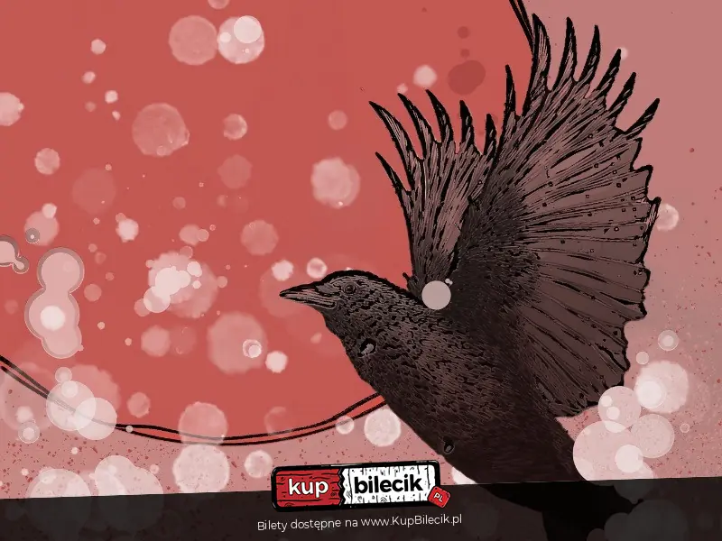 Pierwszy Śnieg & Kruczy Sen