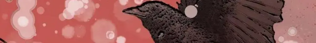 Pierwszy Śnieg & Kruczy Sen