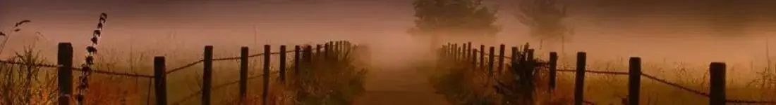 Na rozstajnych drogach. Opowieści o demonach słowiańskich