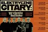 Elektryczne Gitary