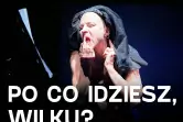 Dokąd zmierzasz, wilku