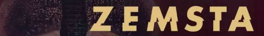 Najsłynniejsza komedia Aleksandra Fredry w reż. Michała Chorosińskiego