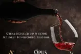 Sztuka Degustacji Win
