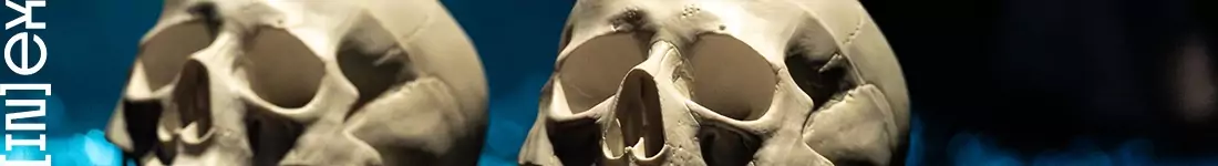 Spektakl inicjatywy producenckiej INEXKULT - "Koniec półświni"