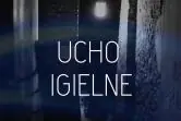 Ucho igielne