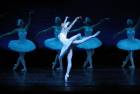 Russian National Ballet