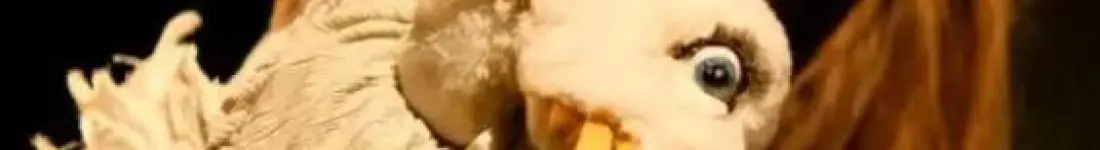 Kultowa baśń Andersena w podlaskim wydaniu