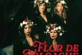 Flor de Toloache