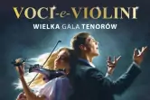 Gala Tenorów: Voci e Violini