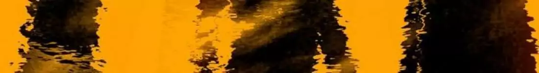 Wojtek Mazolewski Solo w Nietocie!