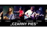 Czarny Pies - koncert Olsztyn/Galeria SOWA