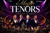 Magic Tenors