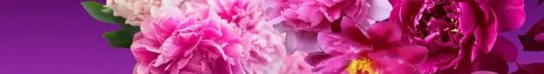 Wielka Gala Operetkowo - Musicalowa "Wieczór w Wiedniu" z okazji Dnia Matki