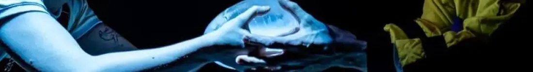 reż. Barbara Bendyk