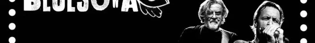 Koncert Śląskiej Grupy Bluesowej!