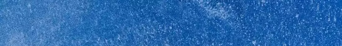 Koncert Świąteczny - Mateusz Ziółko & Alstromerie