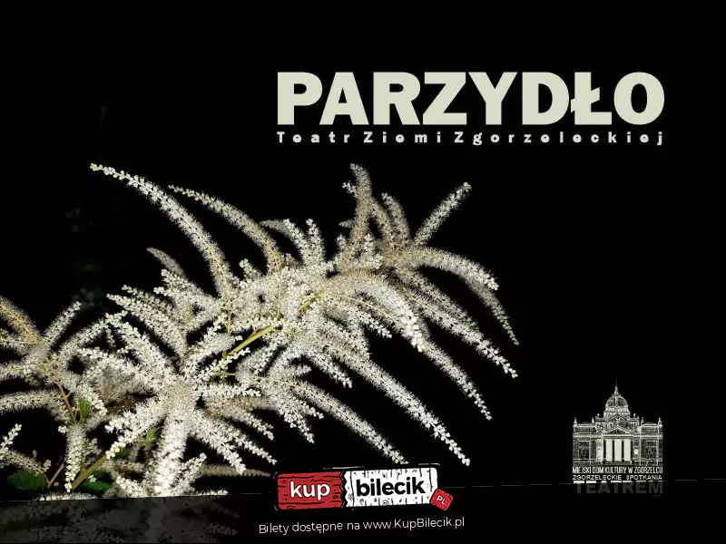 Parzydło