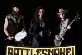 Rattlesnake!