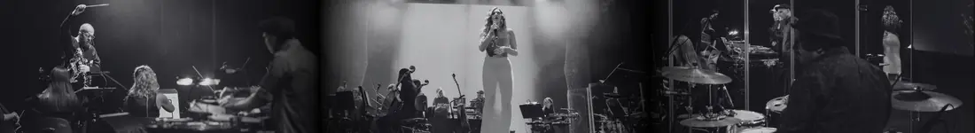 Massive Attack, Portishead, Björk, Unkle, Hooverphonic, Gorillaz