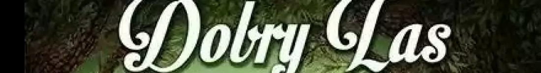 Przedstawienie dla dzieci