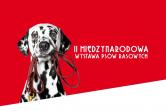 Bilety jednorazowe - sobota (15 grudnia)
