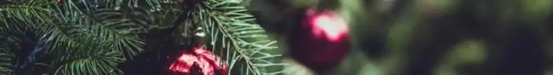 "Osiecka na nowo. Poczuj każde słowo."