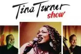 Tina Turner Show