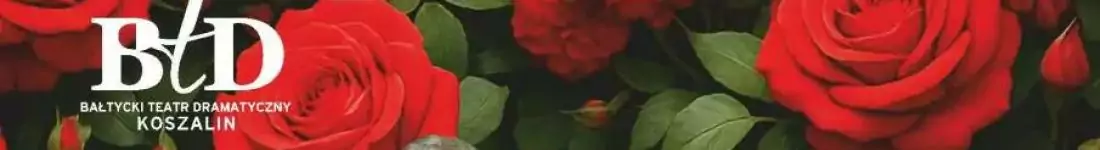 Opieka reżyserska: Arkadiusz Buszko