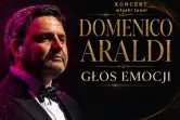 Domenico Araldi