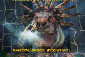 Smokmistrz Gerwazy i Tajemnica Smoczego Eliksiru