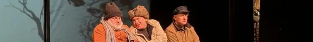 Autor  Miro Gavrana