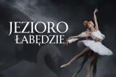 Jezioro łabędzie - United Ballet London