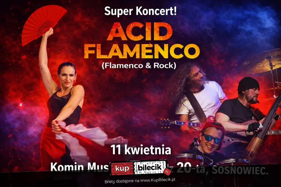 Acid Flamenco - Flamenco & Rock