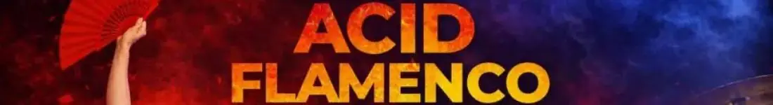 Acid Flamenco - Flamenco & Rock