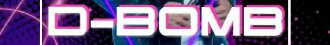 Koncert zespołu D-Bomb