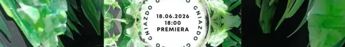 Teatr SPEKTRUM MOK Pabianice - PREMIERA