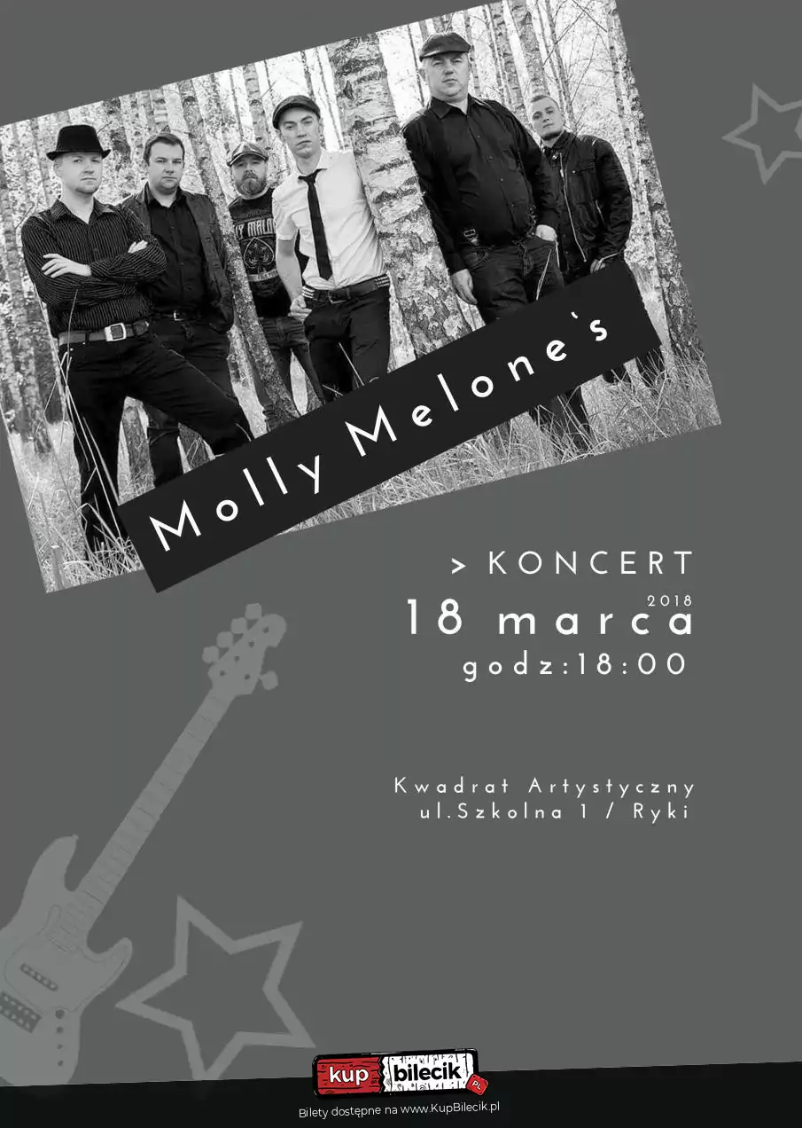 FolkPunkSzantyRockNight