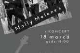 Molly Malone's, Pirates Of Rock'n'Roll
