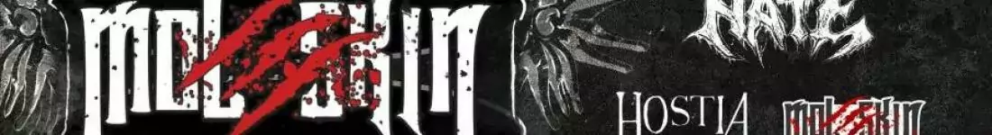 Moleskin Fest vol. 3