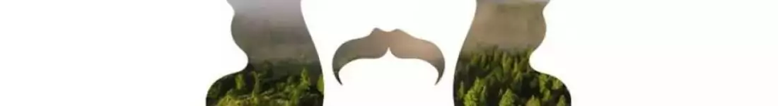 Cykliczny koncert dedykowany twórczości Wojtka Bellona.