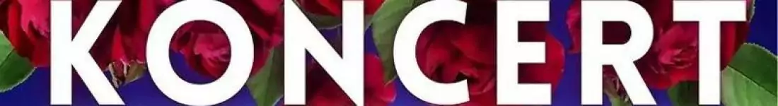 Szlagierowe Kwiaty Dla Mamy