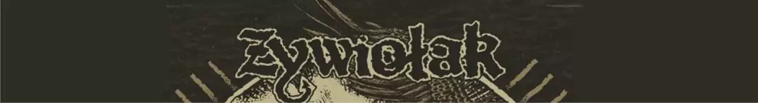 koncert | support: Wandroj