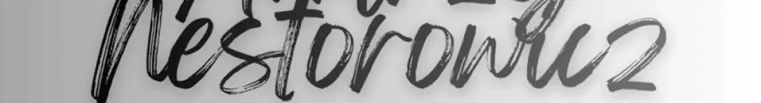 Andrzej Nestorowicz - Więcej niż słowa