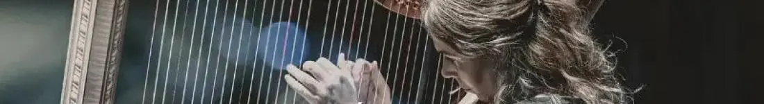 Amelia Tokarska - Celtic Tales Quartet - Spring Welcome