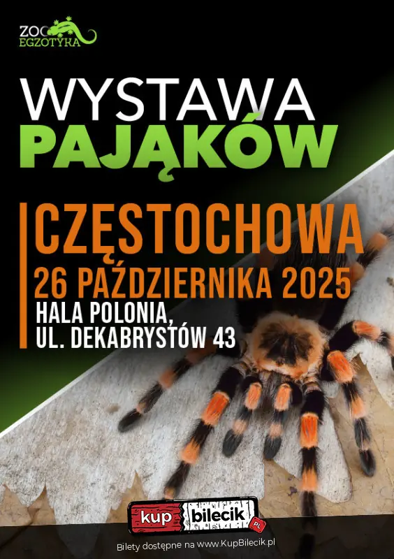 Wystawa Pająków