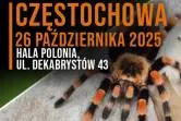 Wystawa Pająków