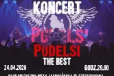 Pudelsi