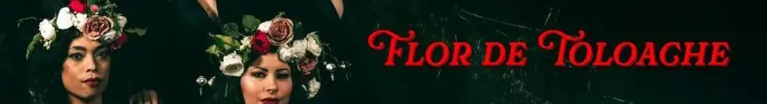 Marcin Kydryński prezentuje Siesta w drodze: Flor De Toloache