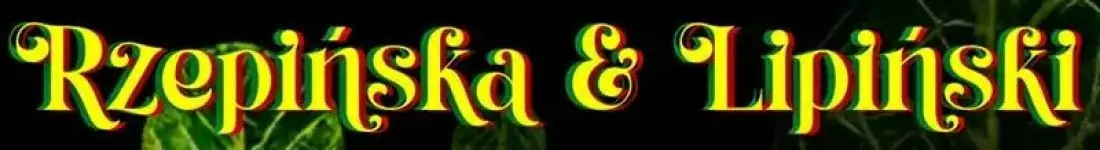 Rzepińska & Lipiński "Lose Control" - wiosna w kawałkach soul&jazz&blues